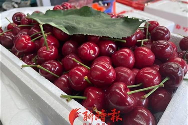 樱桃树用什么肥料好？