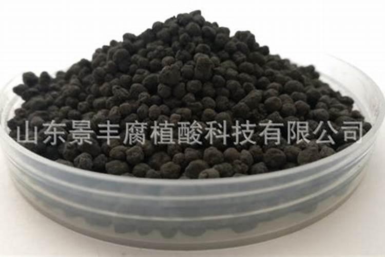 风化煤鉴别方法