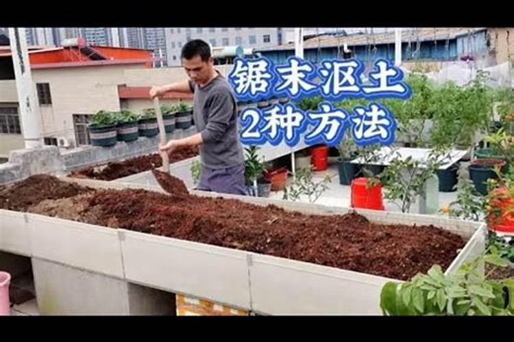 楼顶种菜用什么土又轻又肥