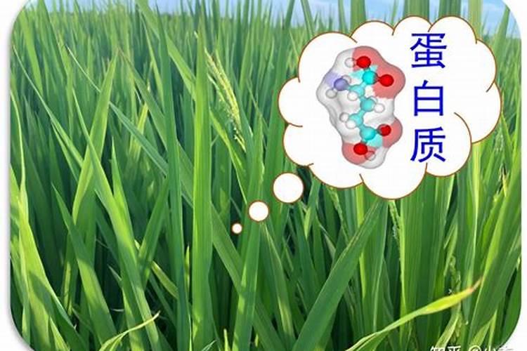 1.农作物生长长缺德三种元素是什么 2.三种元素在植物生长中各起到什么...
