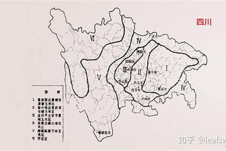 什么时候给油茶施肥最好？