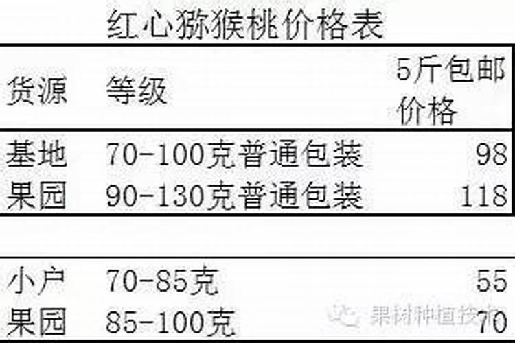盆栽大樱桃怎样管理和施肥