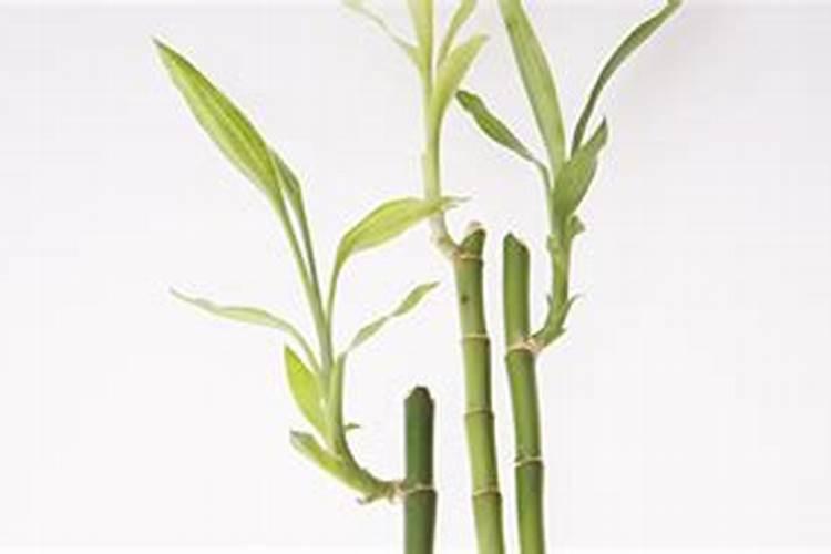 用芸苔素加尿素还是920加尿素