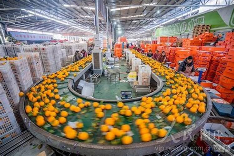 请问国内知名作物专用肥哪个好？