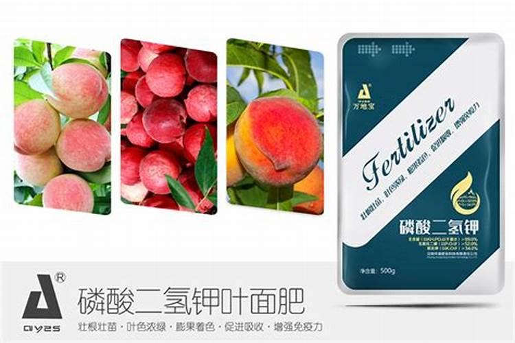 桃子用什么肥料？如何让桃子变得又大又甜？