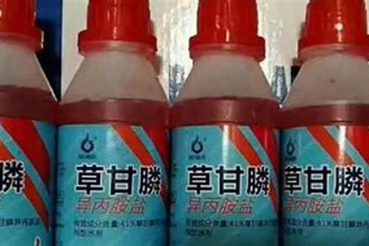 农作物种上以后可以打草甘膦？
