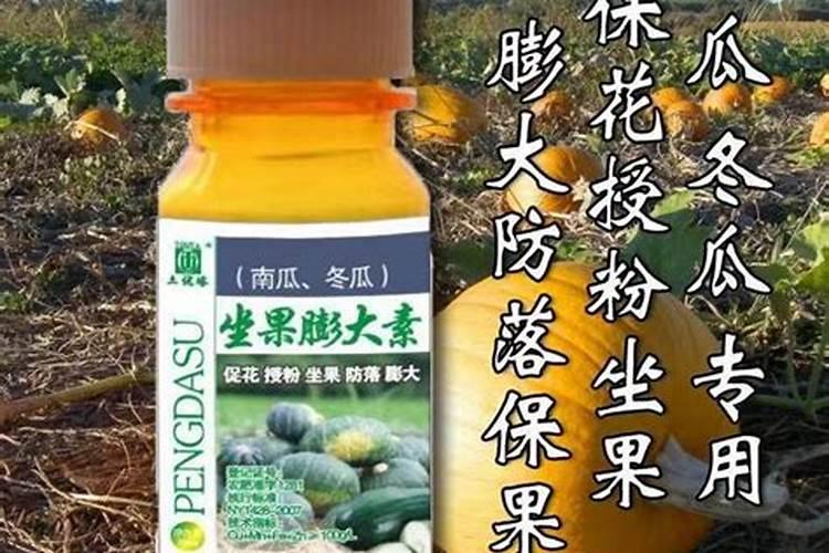 一般给草莓施什么肥最好