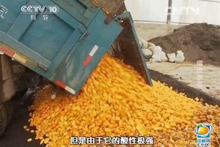 桔杆有机肥制作方法