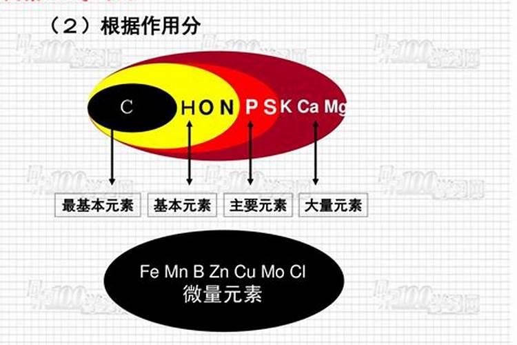 26个微量元素简称是什么？