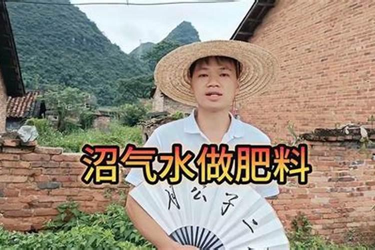 沼气液能给茶花施肥吗