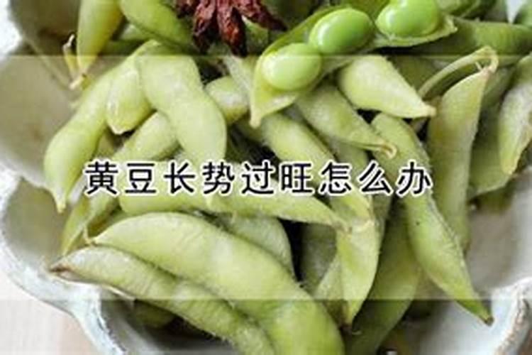 氮肥在家怎么种植的 简单的家庭自制氮肥
