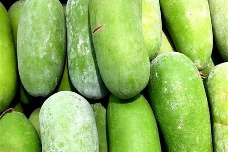 种冬瓜用什么肥料最好