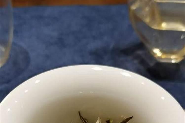 种植白茶需要什么样的环境条件,北方日光温室能种吗？