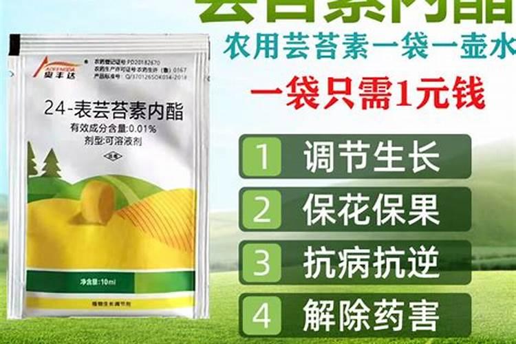 甘蓝菜的施肥方法