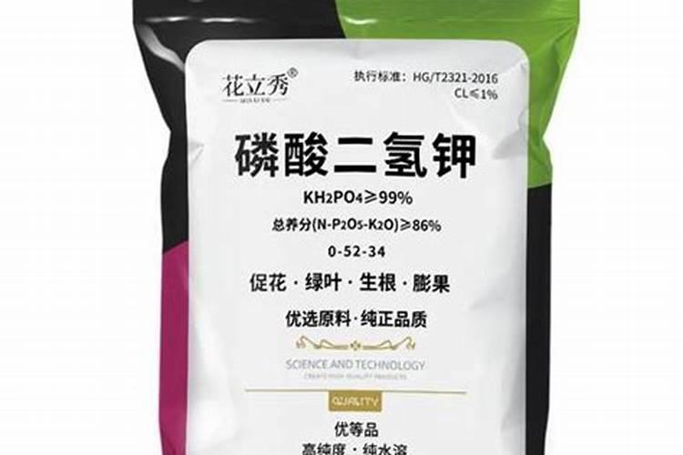 多肉专用肥在哪里可以买到