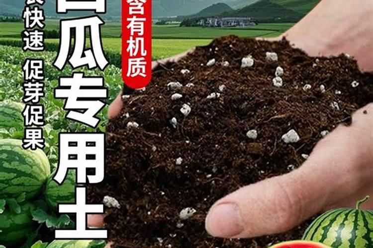 水溶肥排名前十位的有哪些品牌