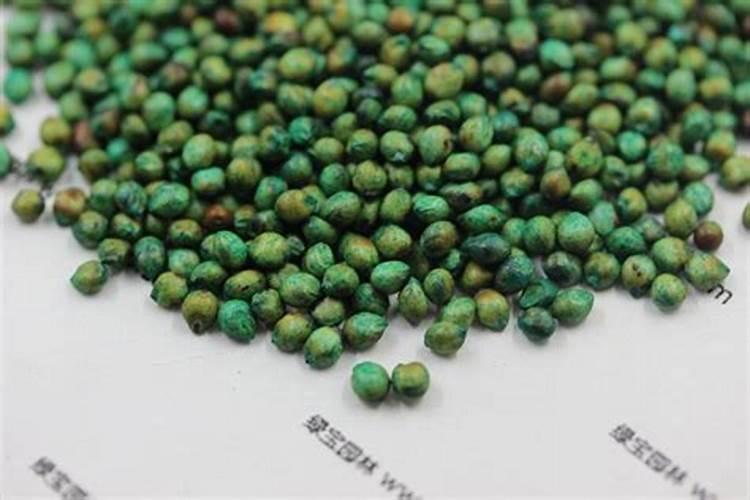 种植高粱用什么化肥