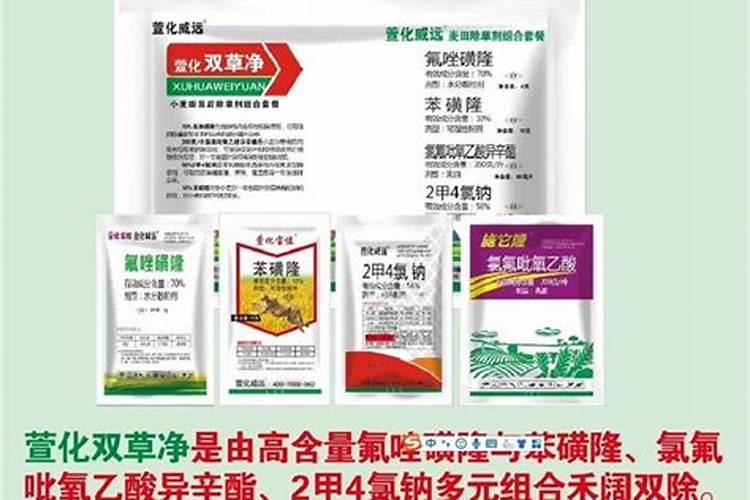 小麦打除草剂受药害怎么办