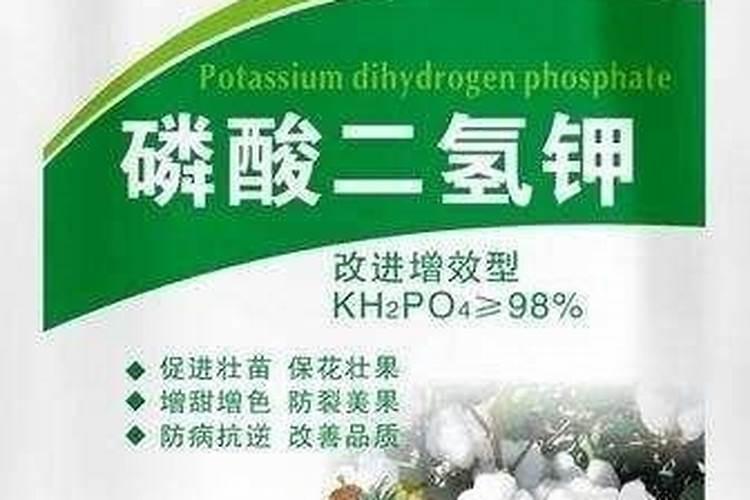 生姜喷施磷酸二氢钾的作用