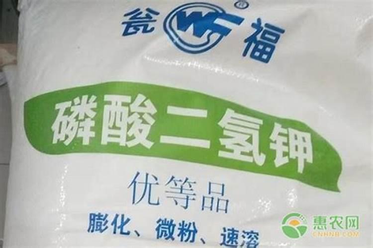 兰花几月份施磷酸二氢钾最佳