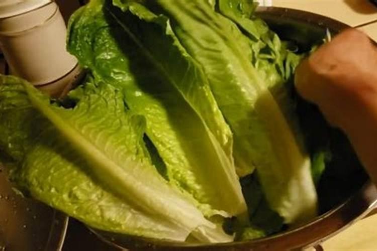 蔬菜上误喷除草剂怎么办