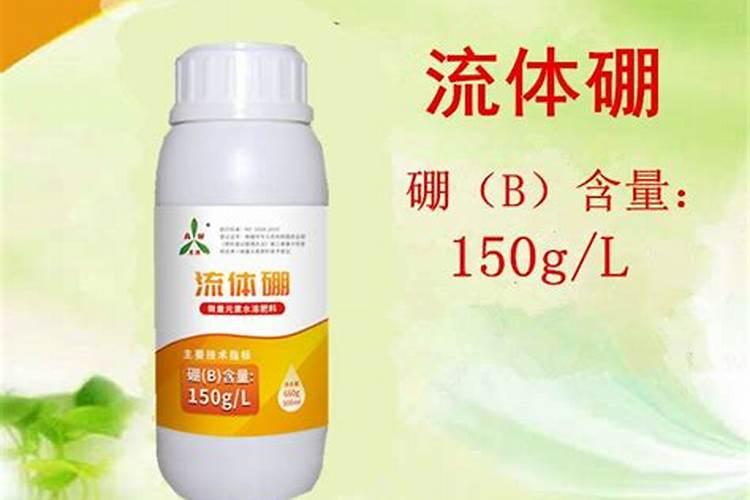 冬枣盛花期可以使用芸苔素+流体硼吗