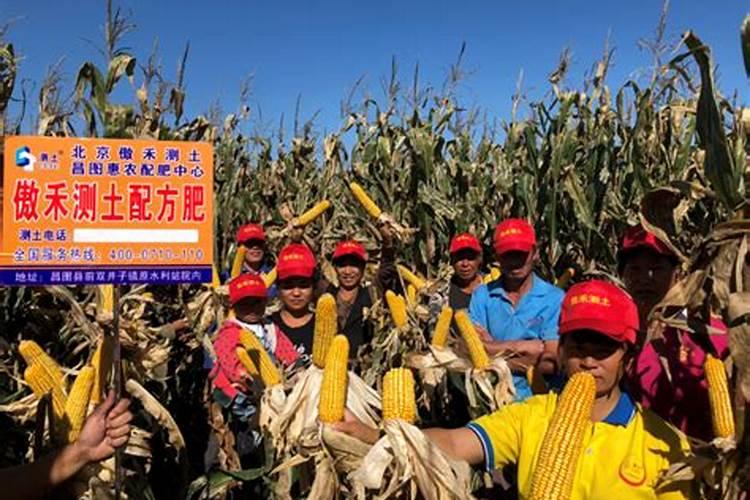 玉米控释肥2855这样配比合适吗