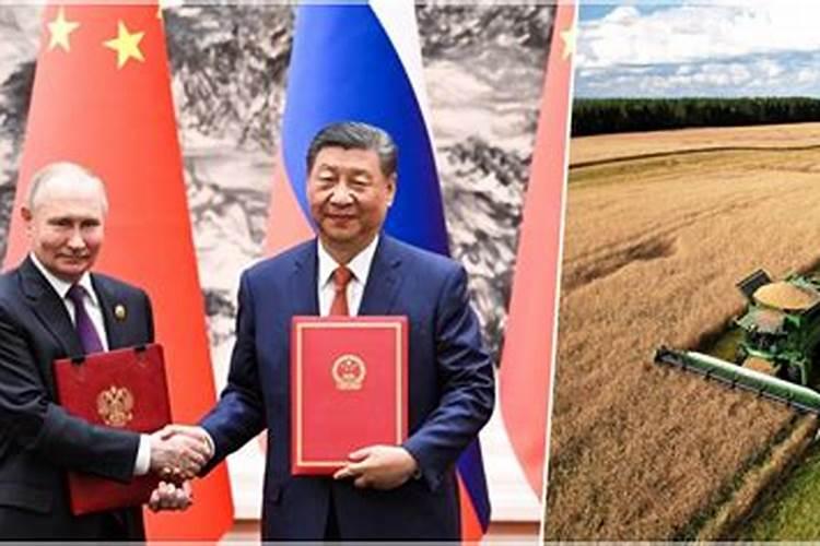 中农钾肥有限公司现状