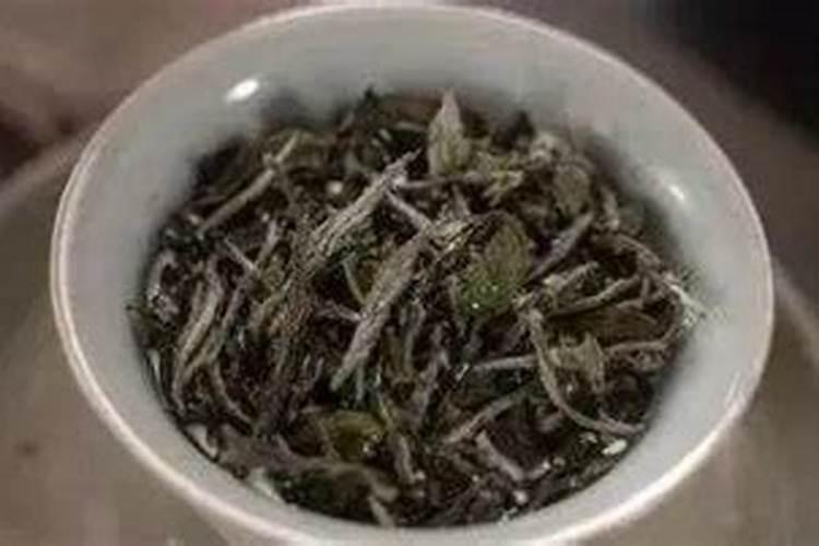 安吉白茶短穗扦插育苗种植技术