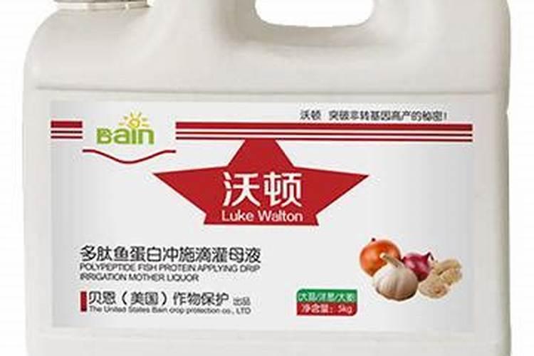 用什么植料养护兰花新芽新叶不停的长