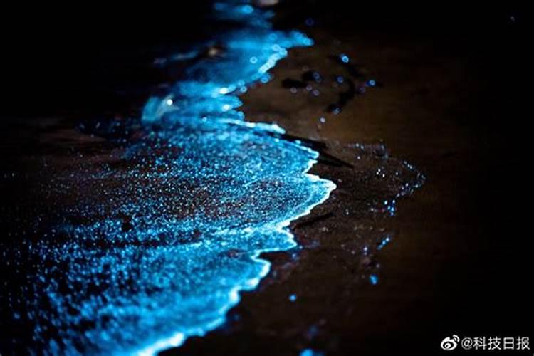 山东力沪生物科技有限公司海海藻水溶肥好吗？