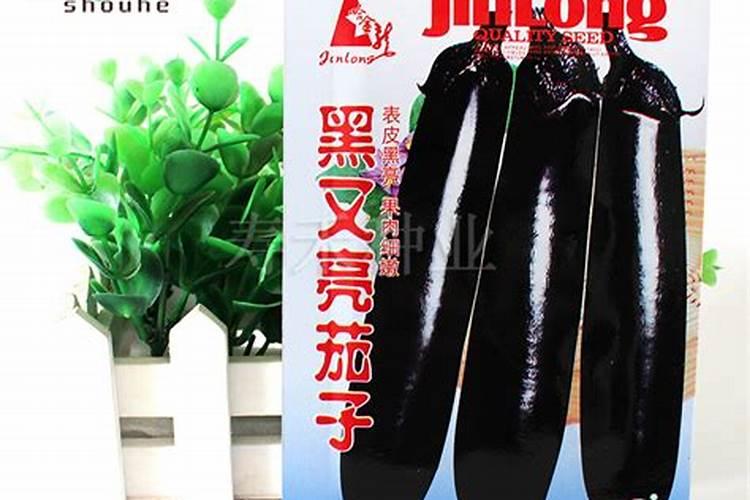 种茄子用什么肥料最好