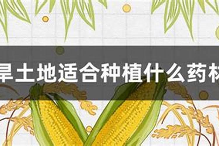 钾肥施用要注意什么