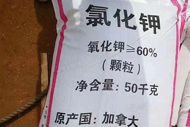 氯化钾多少钱一斤？