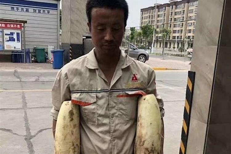 大葱干尖黄叶打什么药