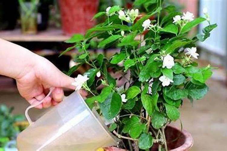 氢氧化钠可以改良酸性的土壤吗