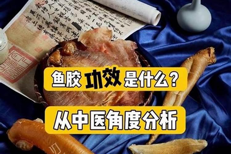 马面鱼的营养价值