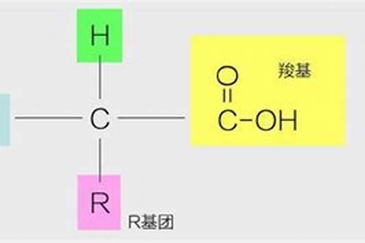 氨基酸水溶肥对于大豆生长会起到怎样的作用