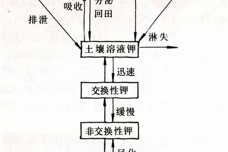 什么肥料含钾多 教你如何正确施用钾肥及钾肥的功能