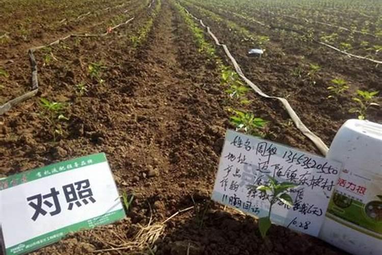 含腐植酸水溶肥料能再小麦上多喷试吗？