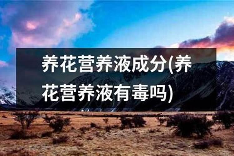 植物营养液怎么配怎么用