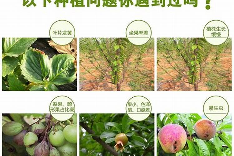 挪威复合肥151515属于底肥吗？