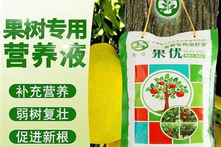 黄金梨什么时候施肥好