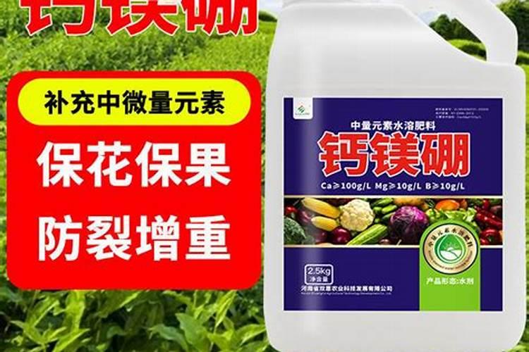 硼酸生产厂家