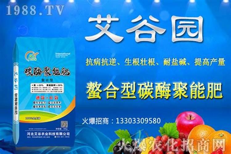 黄豆叶面肥什么时打合适