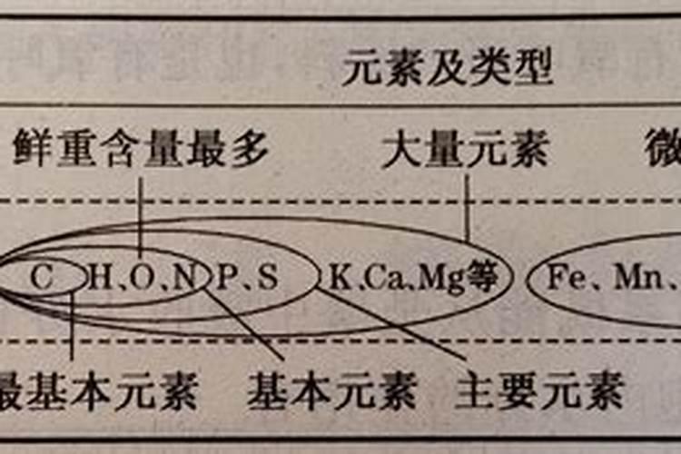 如何区别大量元素、中量元素、微量元素？