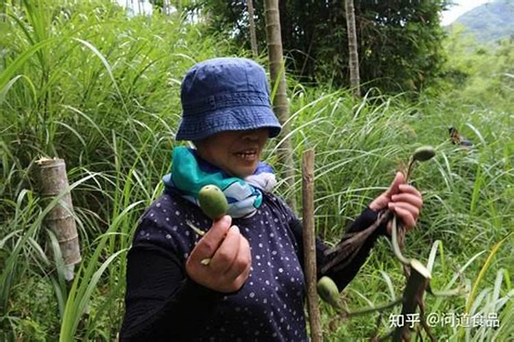硼肥放槟榔树会死吗