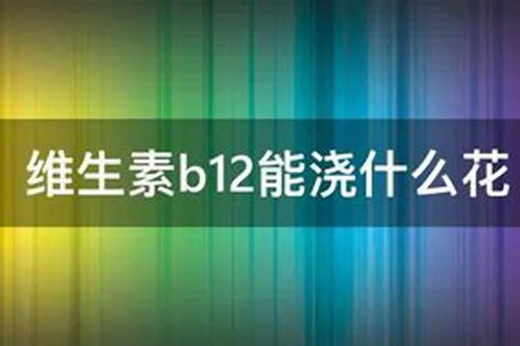 维生素b12能浇什么花