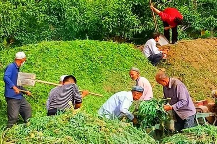 水肥沤多久才能用水肥沤需要多长时间才能使用？