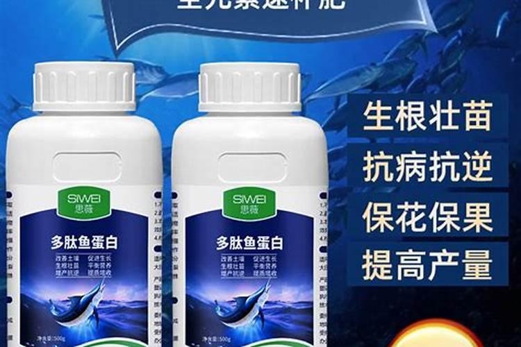 大棚柿子用哪种冲施肥比较好